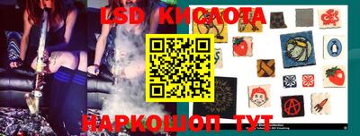 PSILOCYBIN Заводоуковск