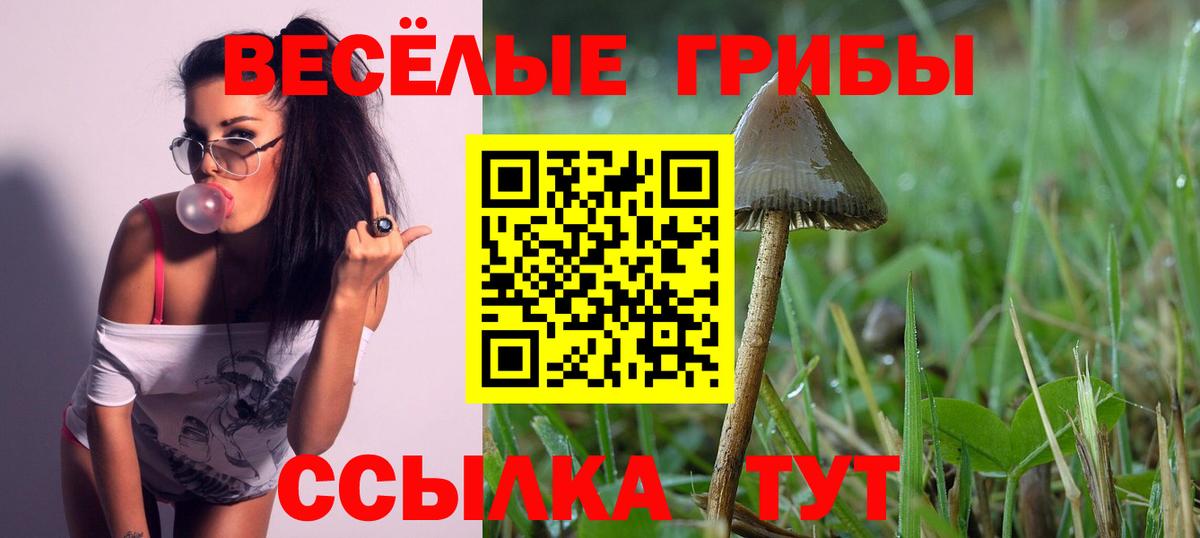 Псилоцибиновые грибы мицелий Похвистнево
